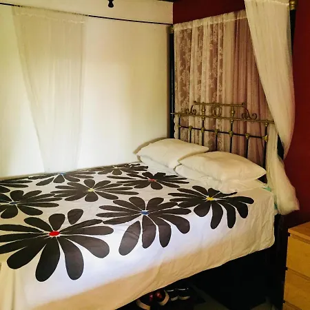 Artist In Dromolaxia Larnaka